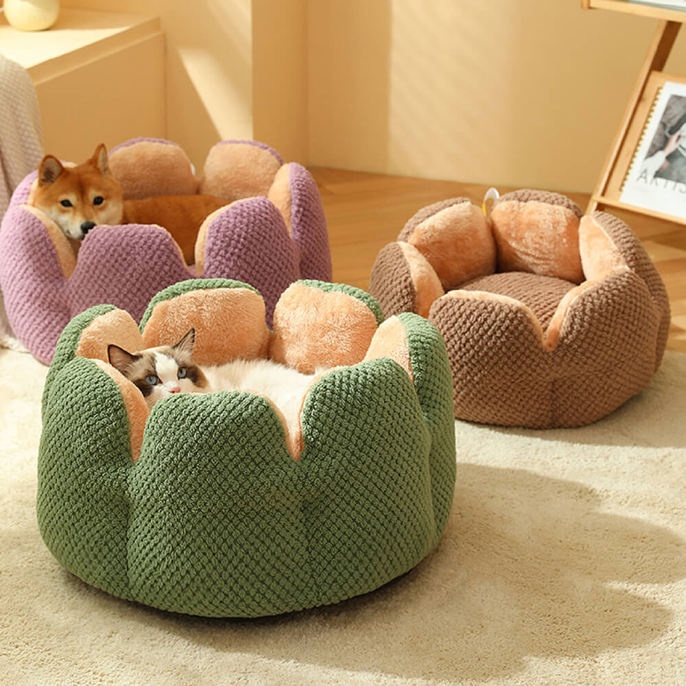 Letto per animali domestici a forma di cactus comodo