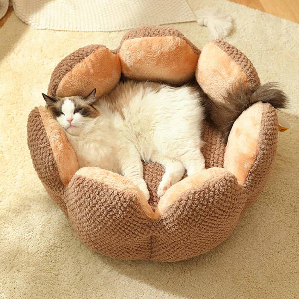 Letto per animali domestici a forma di cactus comodo
