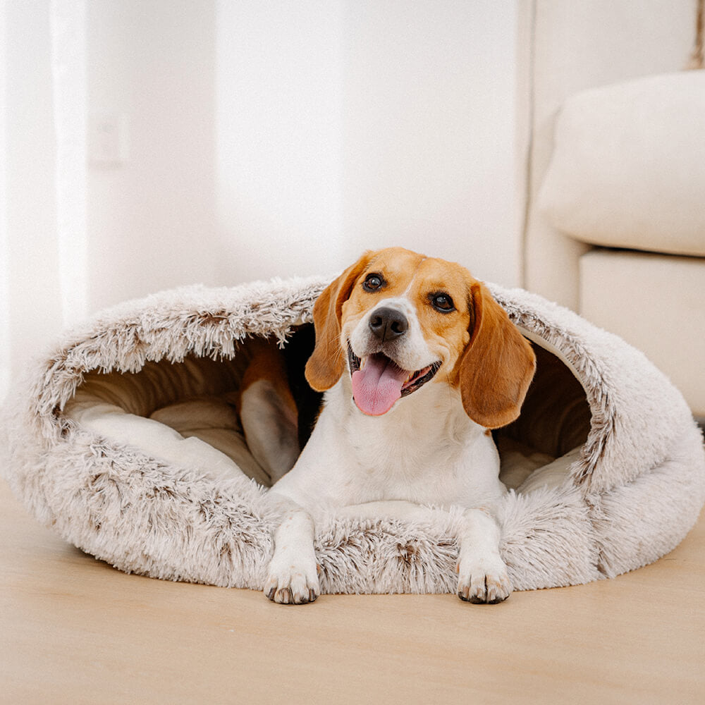 Letto Pita per cani: Nido per animali domestici semi-chiuso in morbido materiale calmante.