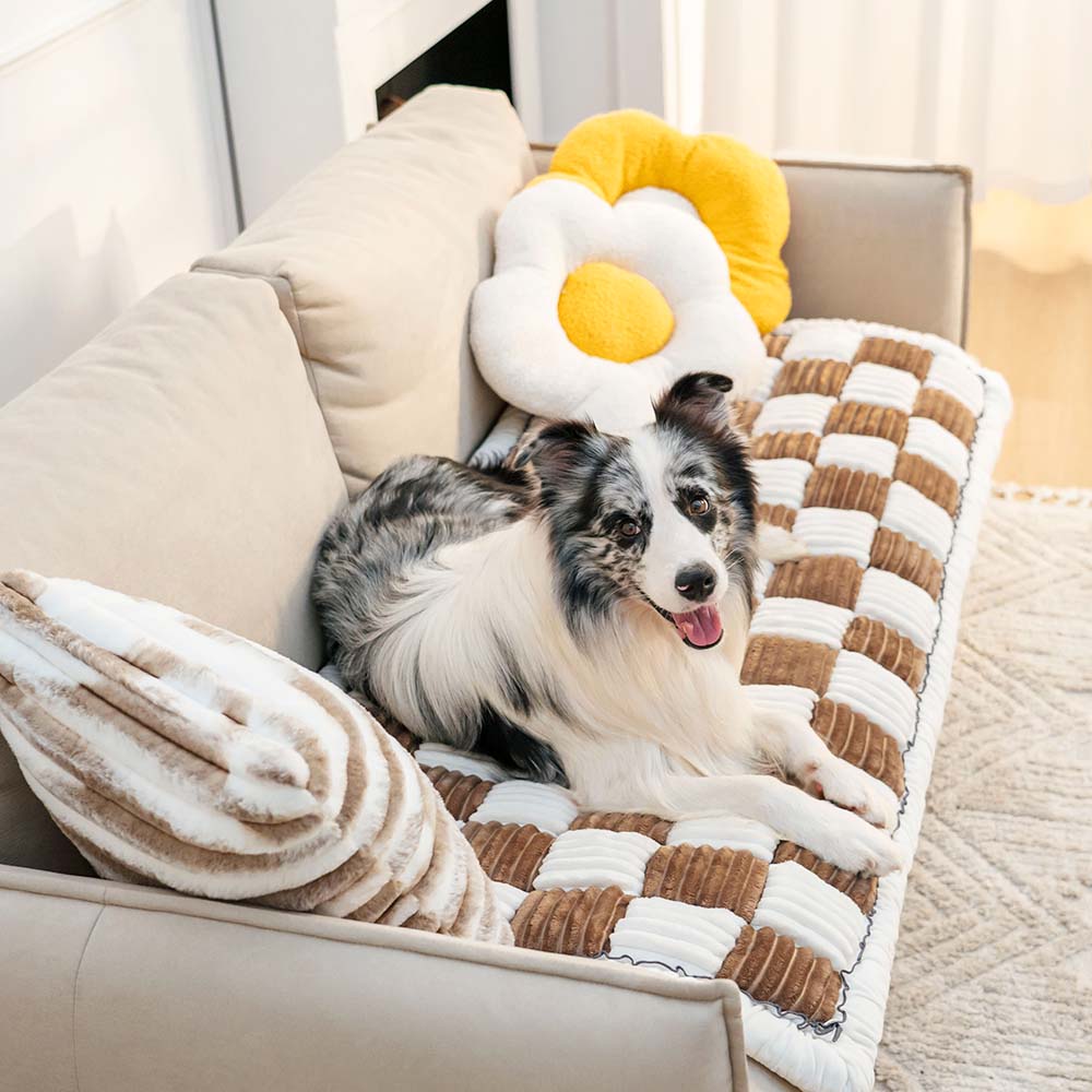 Coperta per cani in cotone peloso a forma quadrata a grandi quadri color crema