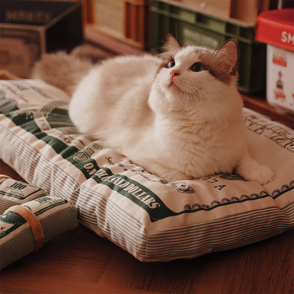 Letto per gatti a tema soldi in tela resistente