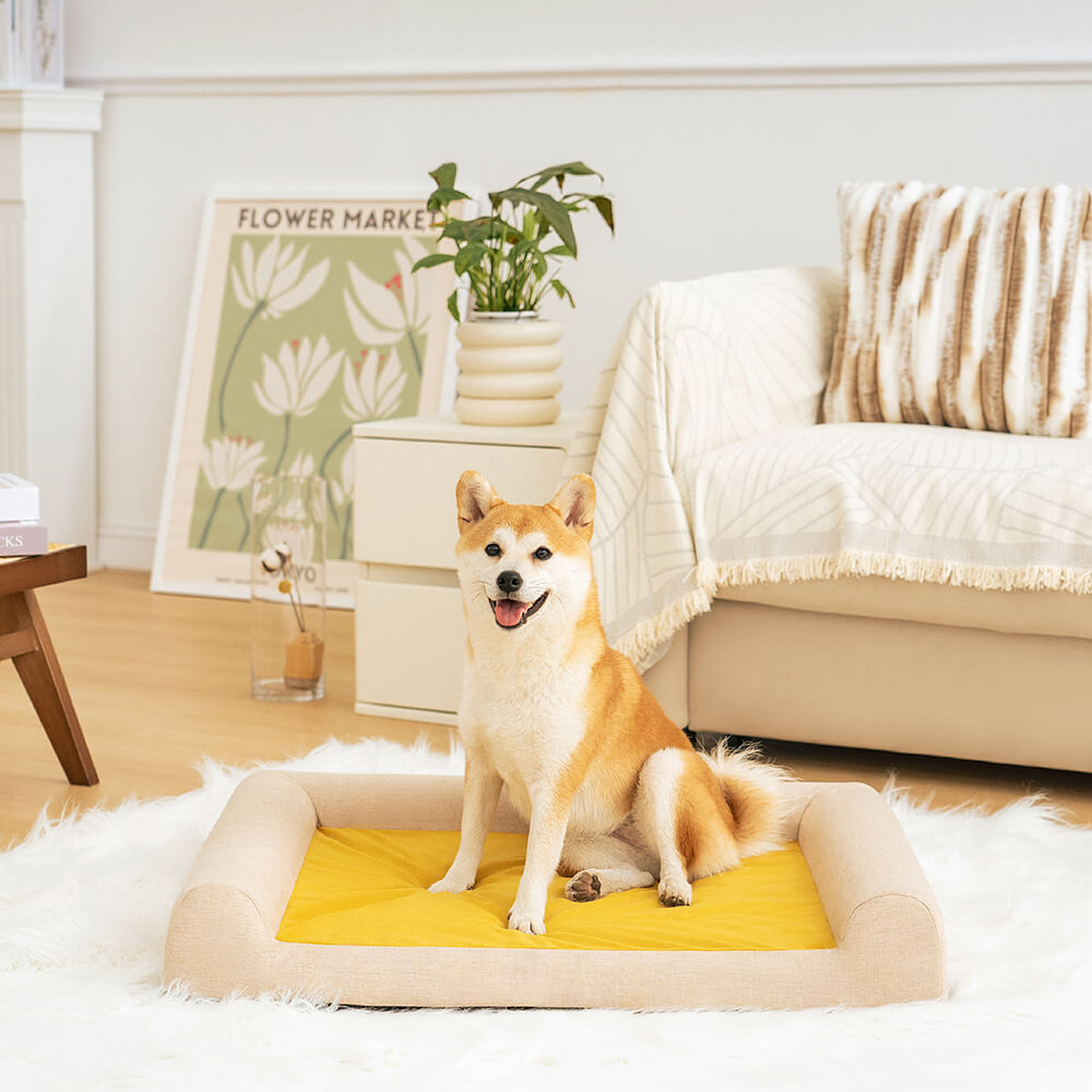 Cama ortopédica cómoda para perros con soporte completo