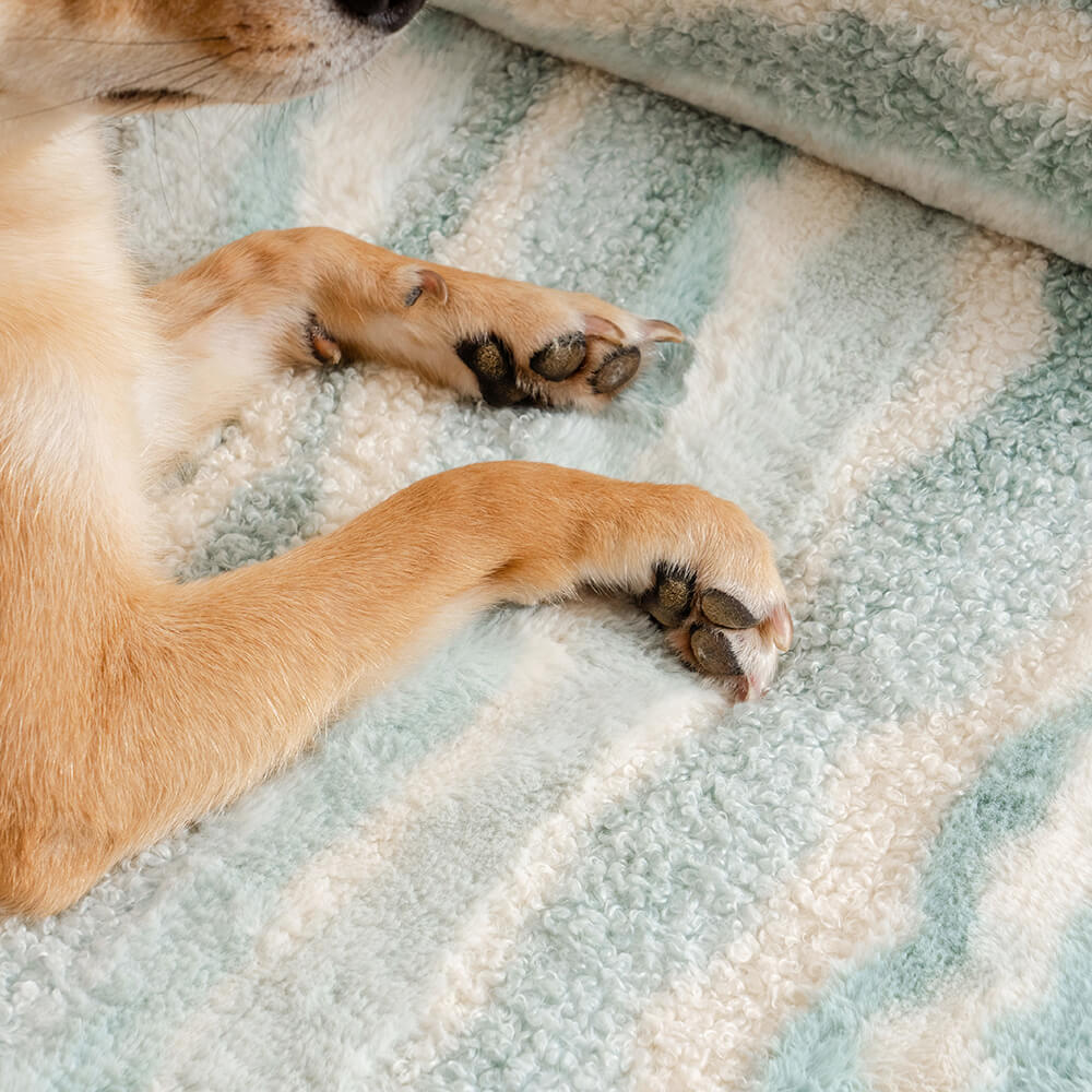 Divano letto ortopedico per cani in finta lana d'agnello in stile moderno