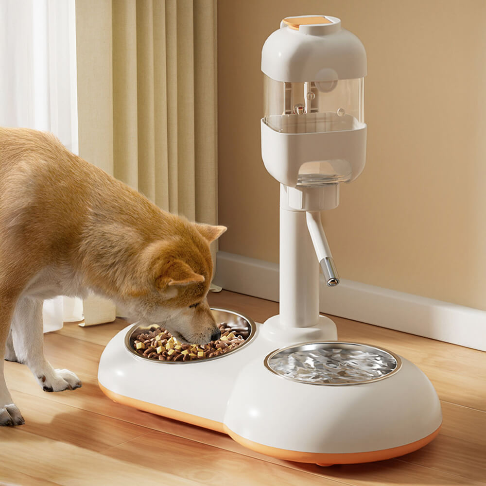 Stazione per ciotole di cibo per animali con dispenser automatico d'acqua
