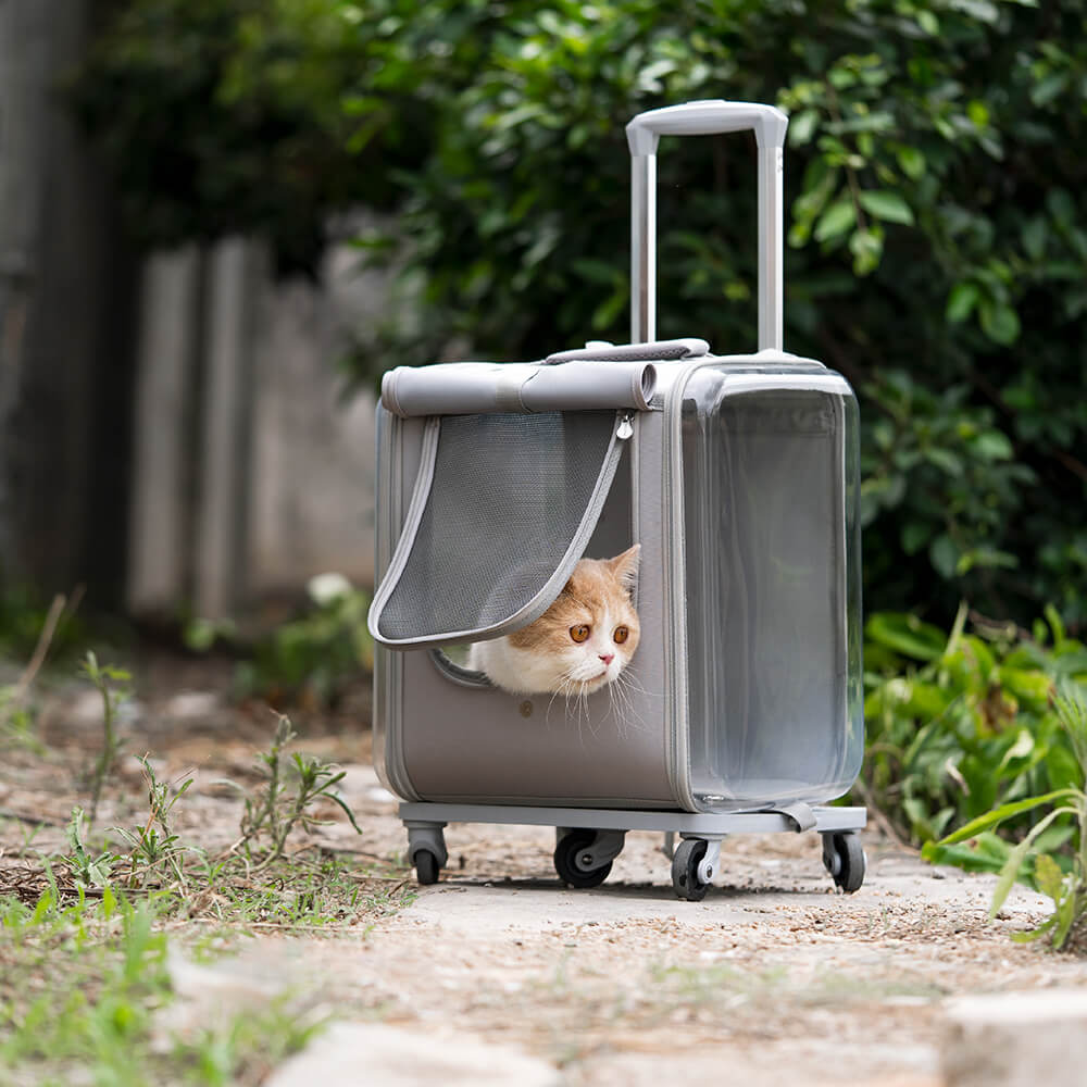Zaino trasparente per gatti, trolley per animali domestici a doppio scopo, con ruota silenziosa