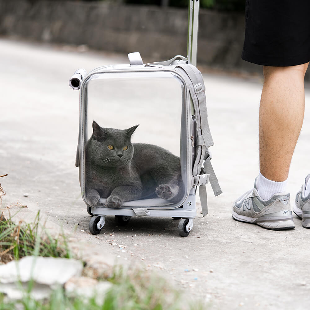 Zaino trasparente per gatti, trolley per animali domestici a doppio scopo, con ruota silenziosa