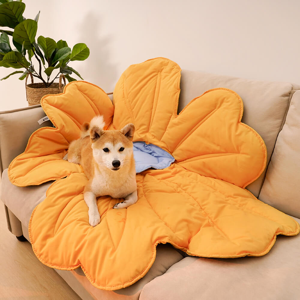 Super grande tappeto per cani a forma di fiore umano