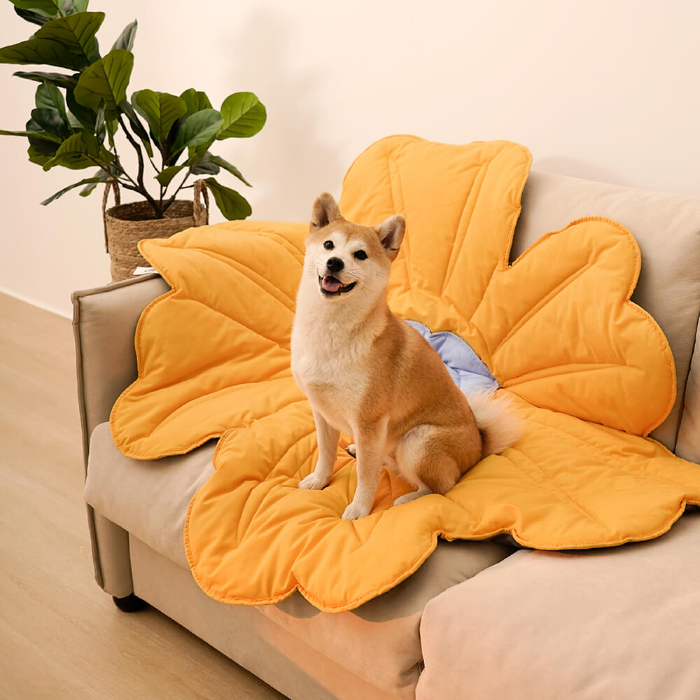 Super grande tappeto per cani a forma di fiore umano