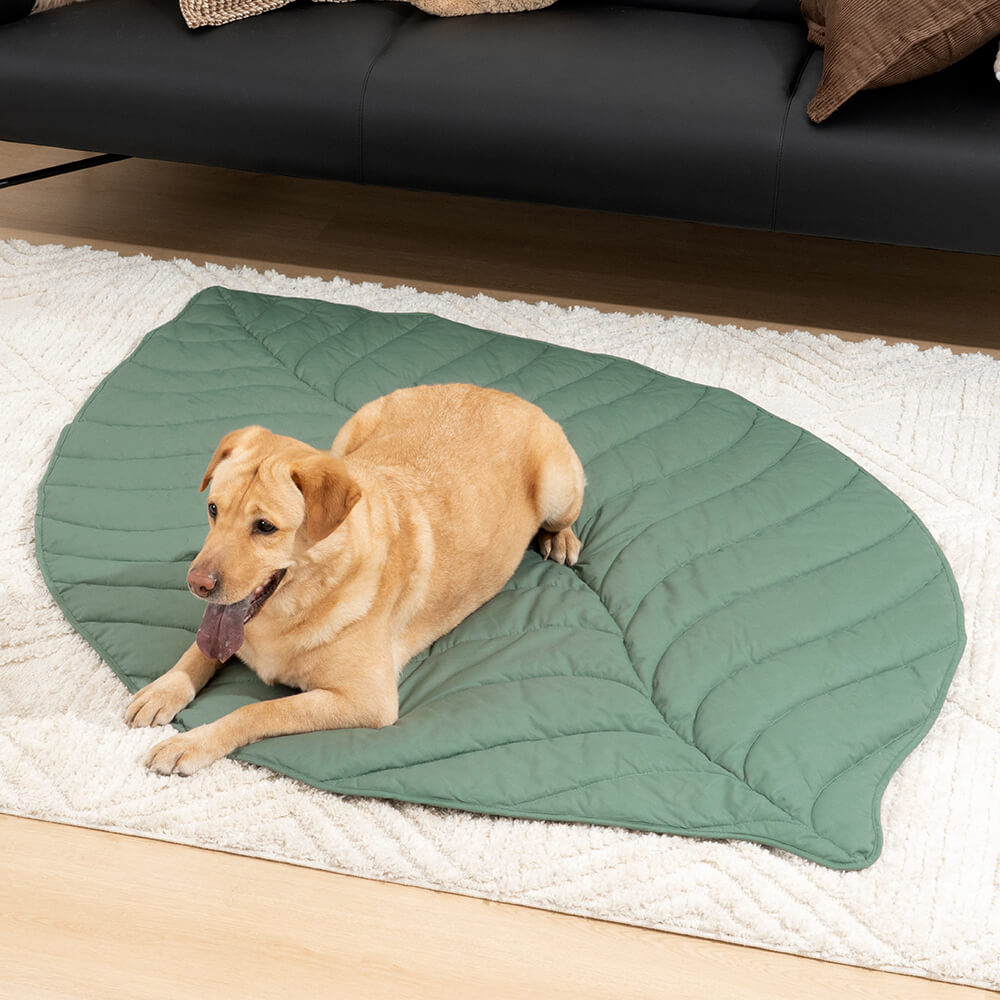 Mega grande tappeto per umani a forma di foglia per cani.