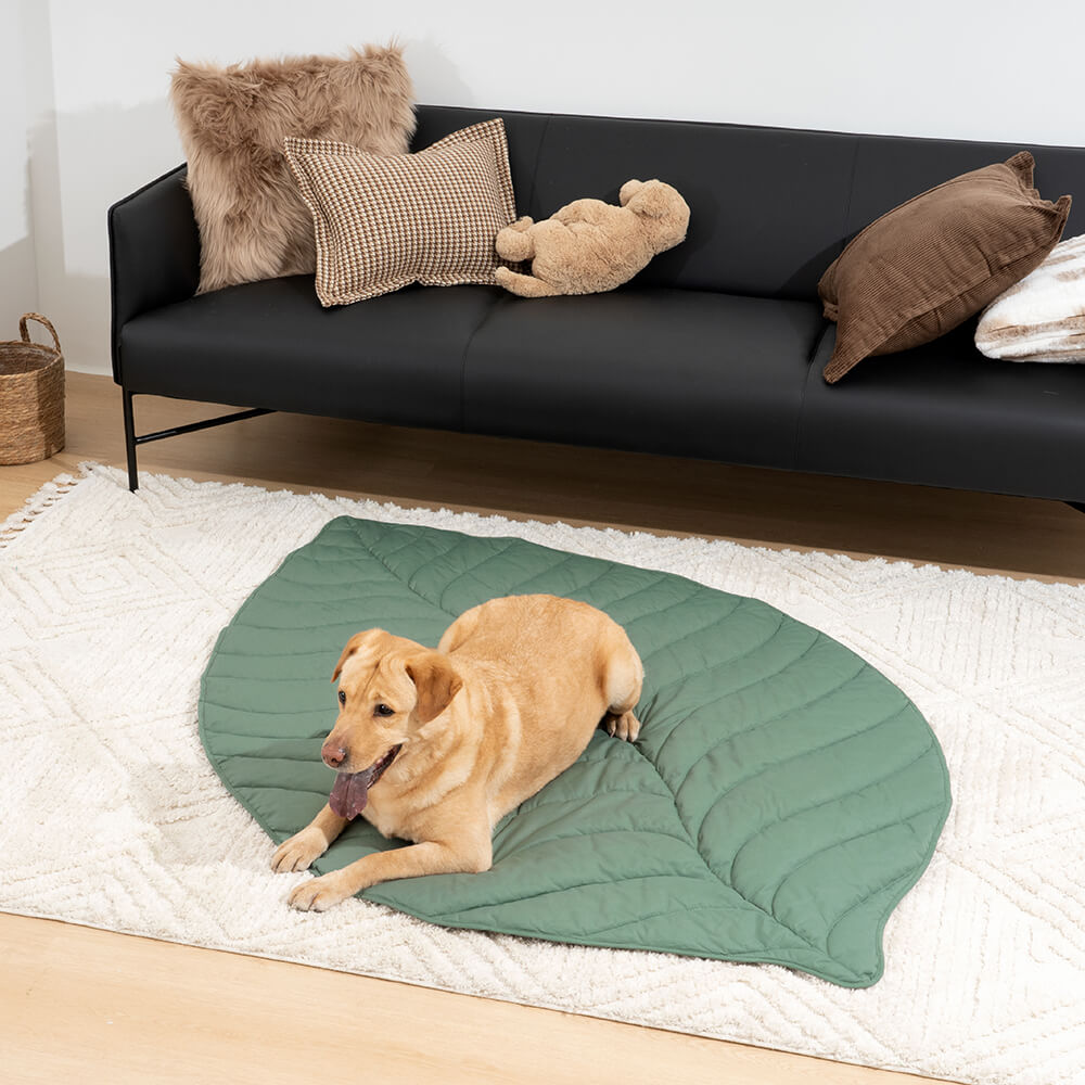 Mega grande tappeto per umani a forma di foglia per cani.