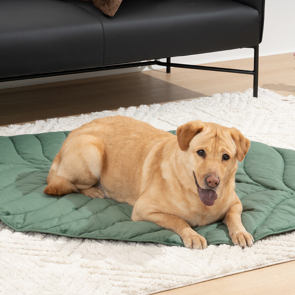 Mega grande tappeto per umani a forma di foglia per cani.
