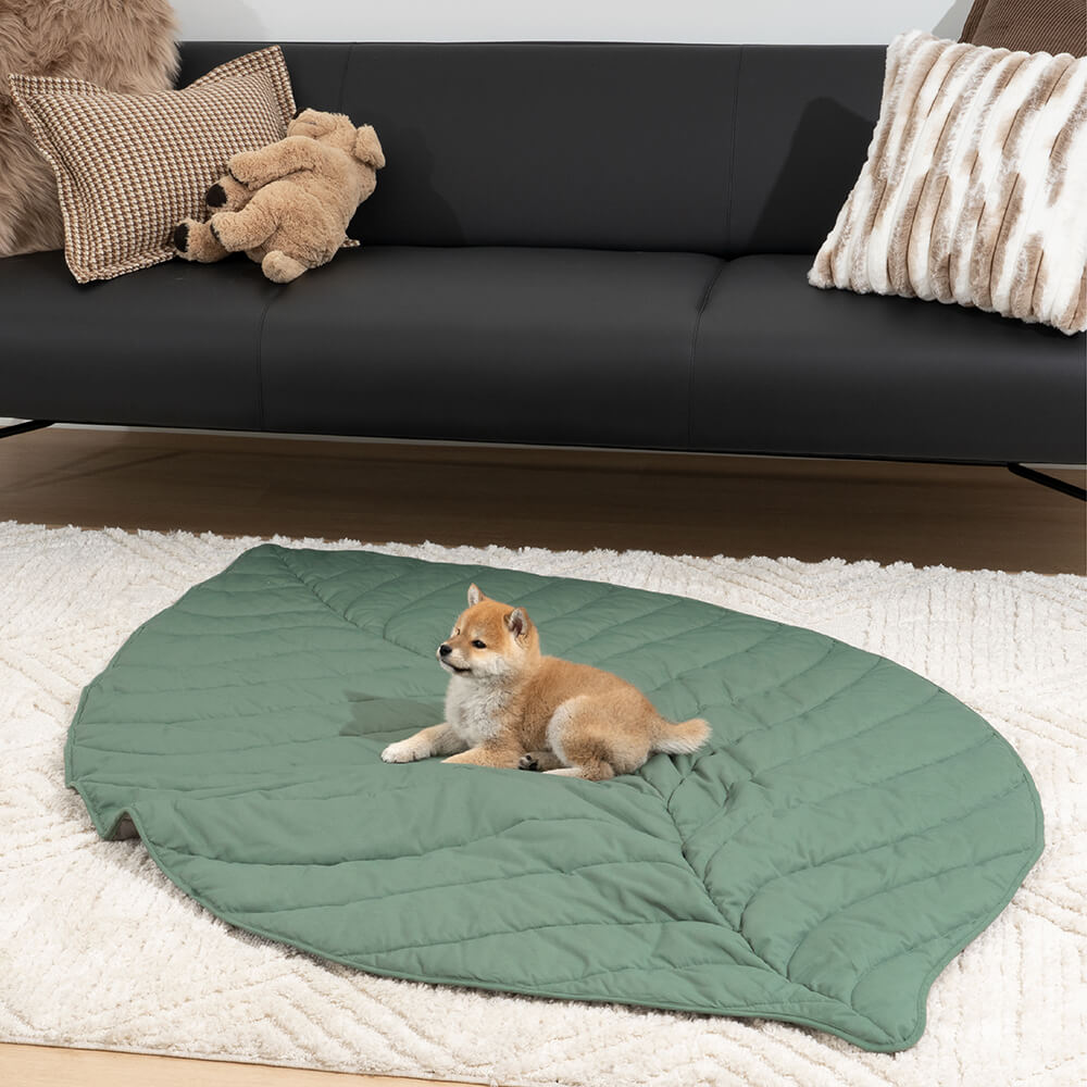 Mega grande tappeto per umani a forma di foglia per cani.