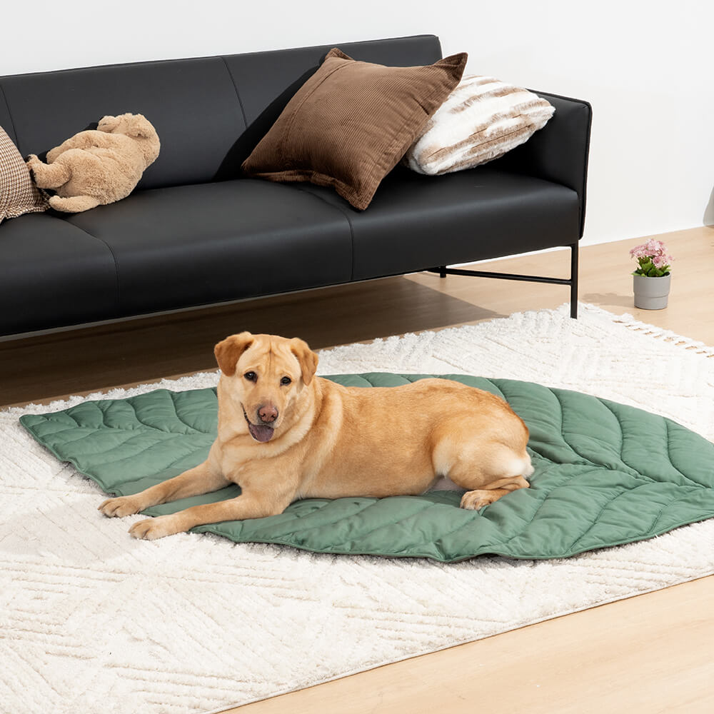 Mega grande tappeto per umani a forma di foglia per cani.