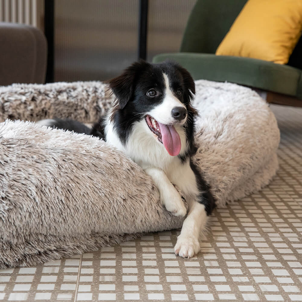 Letto ovale super grande di lusso per un sonno più profondo - letto per cani umani.