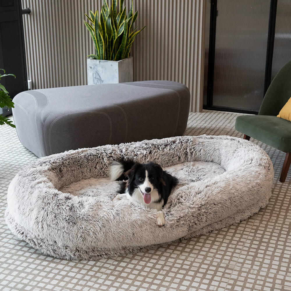 Letto ovale super grande di lusso per un sonno più profondo - letto per cani umani.
