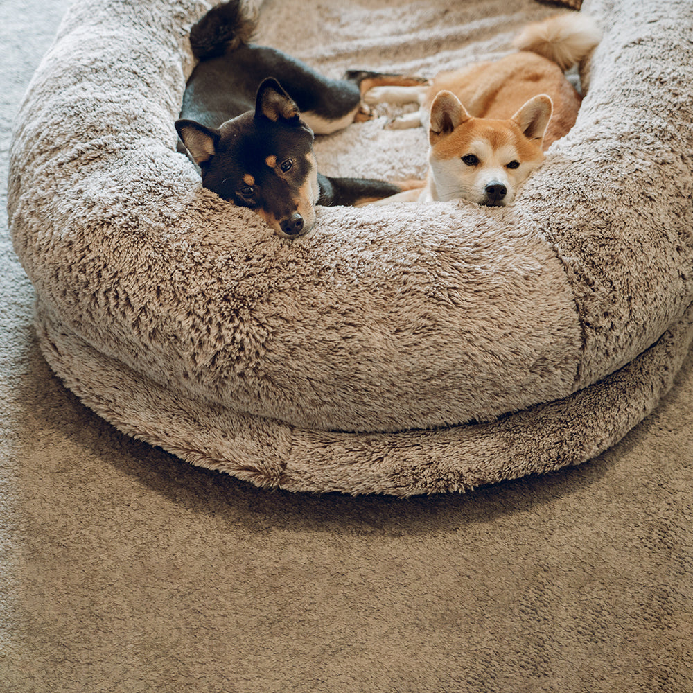 Letto ovale super grande di lusso per un sonno più profondo - letto per cani umani.