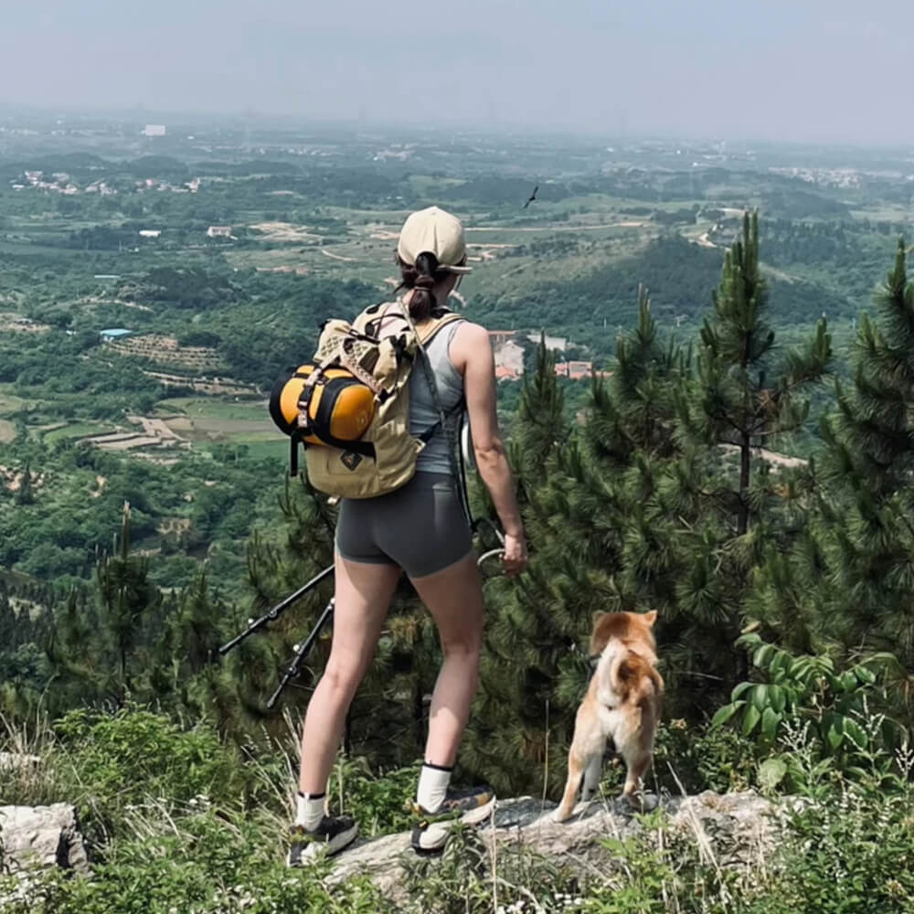 Zaino per cani da trekking all'aperto, ventilato e resistente