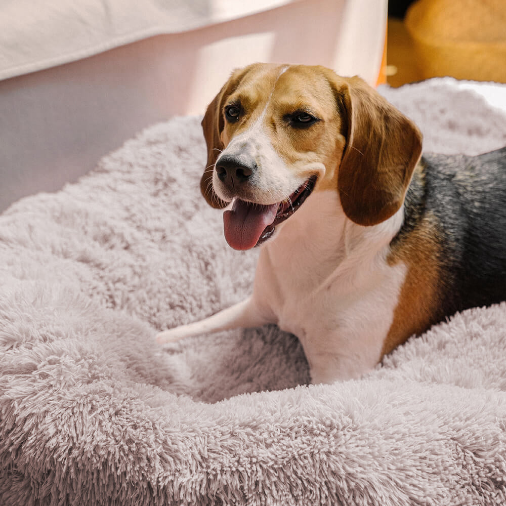 Letto per cani pelosi e morbidi a forma di ciambella