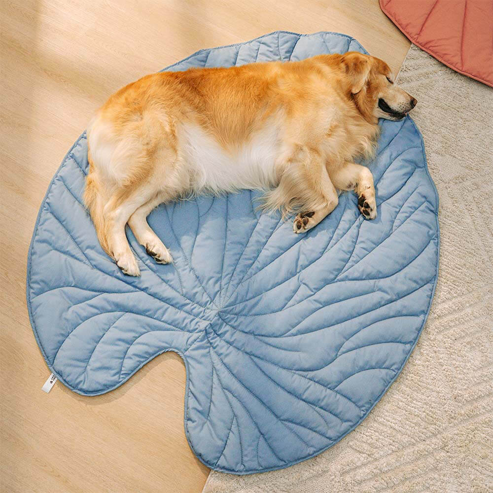 Mega grande tappeto per umani a forma di foglia per cani.