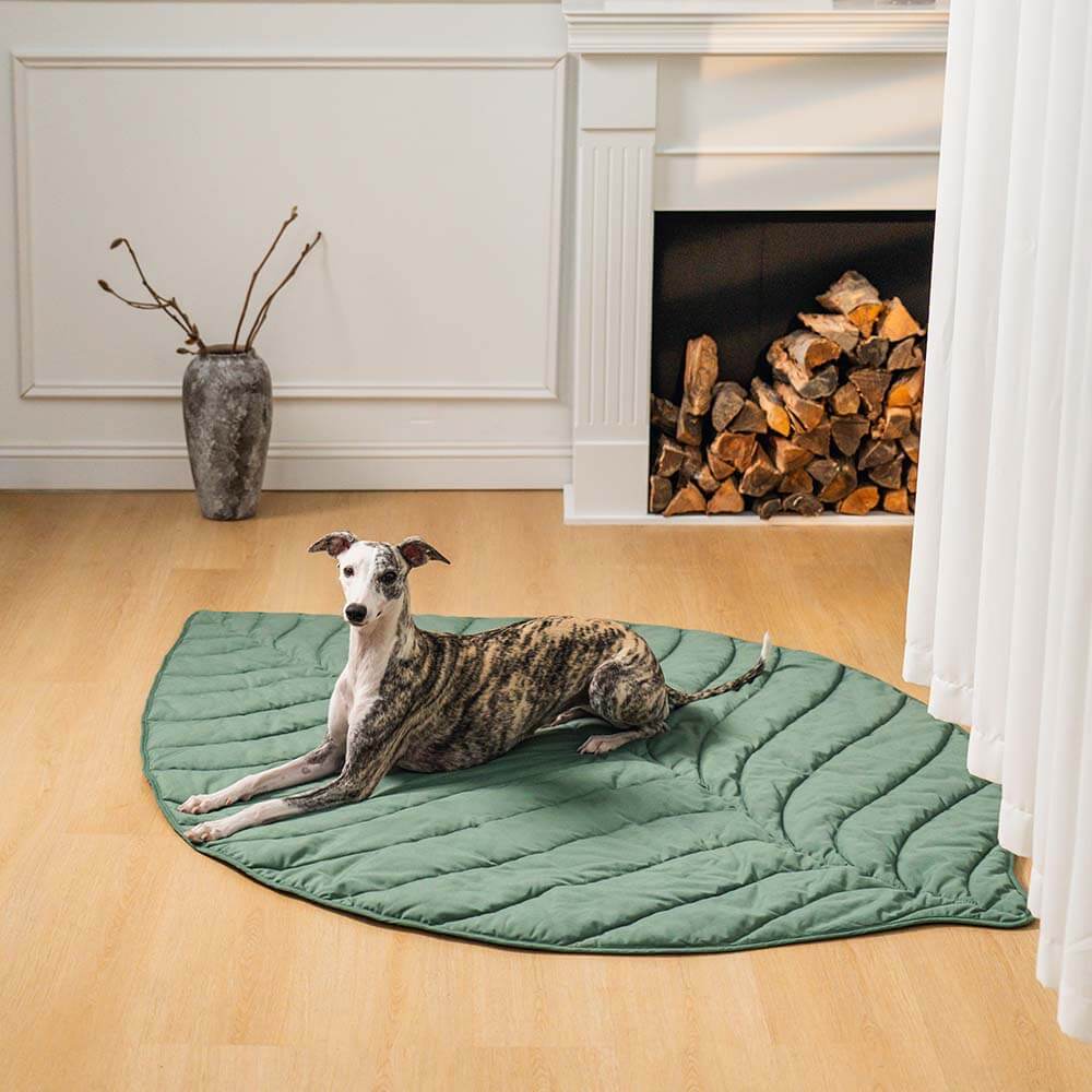 Mega grande tappeto per umani a forma di foglia per cani.