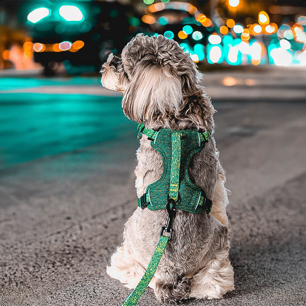 Arnés y correa para perros sin tirones de tela reciclada ecológica