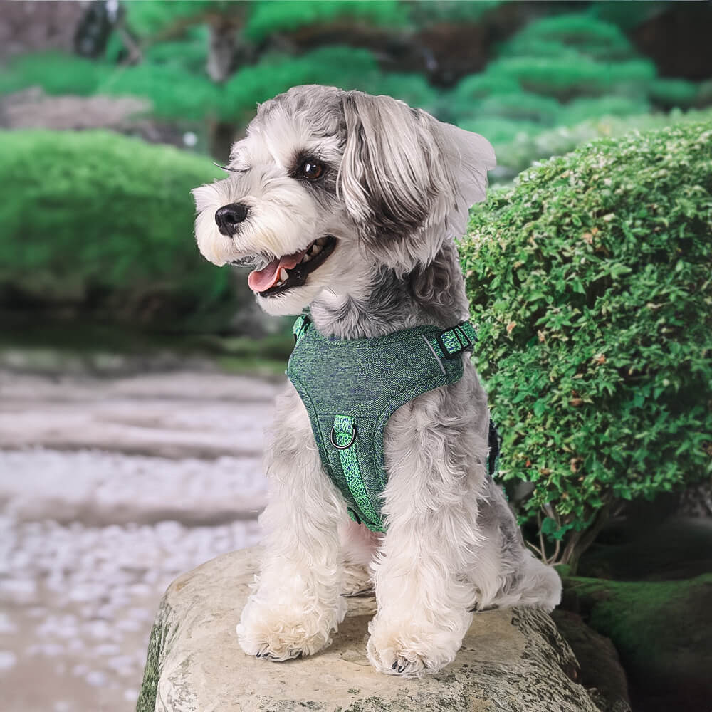 Imbracatura/guinzaglio per cani senza tirare in tessuto riciclato ecologico