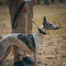 Collar e guinzaglio multifunzionale di cani antipull riflettente