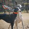Collar e guinzaglio multifunzionale di cani antipull riflettente