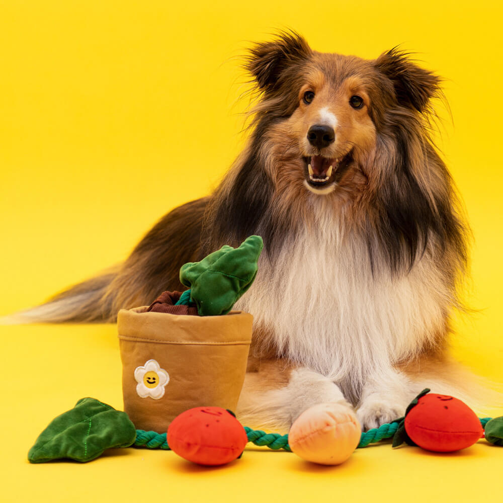 Giocattolo per cani di peluche con fischietto - Fragola in vaso