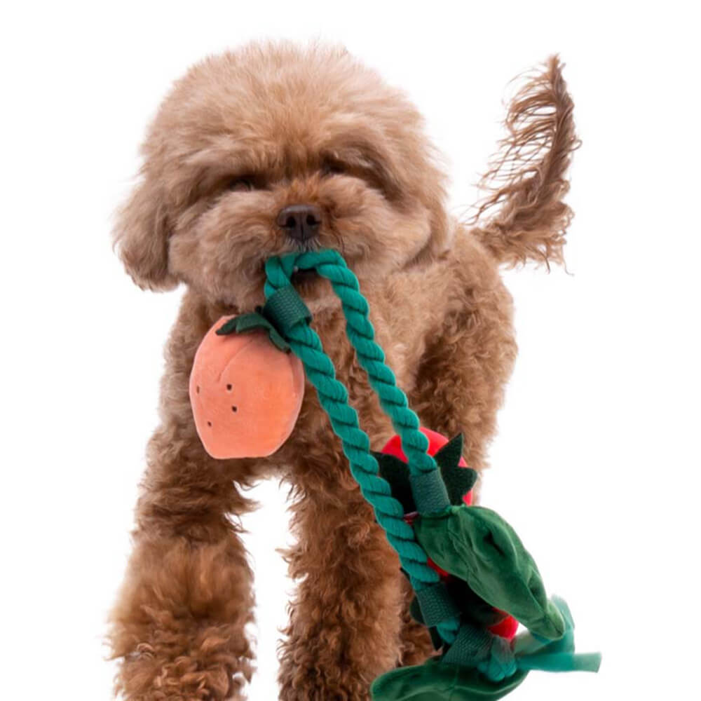 Giocattolo per cani di peluche con fischietto - Fragola in vaso