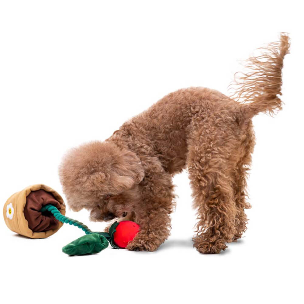 Giocattolo per cani di peluche con fischietto - Fragola in vaso