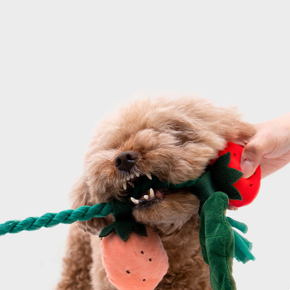 Giocattolo per cani di peluche con fischietto - Fragola in vaso