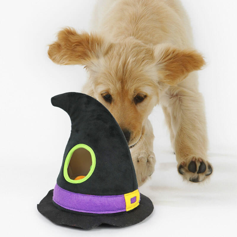 Set di quattro pezzi per cani con cappello da strega di Halloween, zucca stridula, occhi di gatto nero