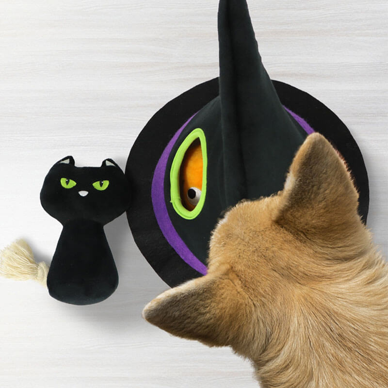 Set di quattro pezzi per cani con cappello da strega di Halloween, zucca stridula, occhi di gatto nero
