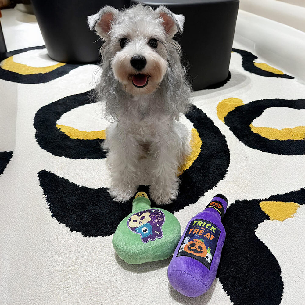 Giocattolo di peluche per la dentizione del cane giocattolo con bottiglia di medicina divertente di Halloween