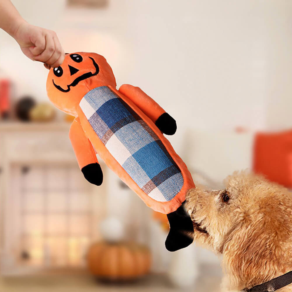 Set di giocattoli da masticare per cani con corda per la dentizione della zucca divertente di Halloween