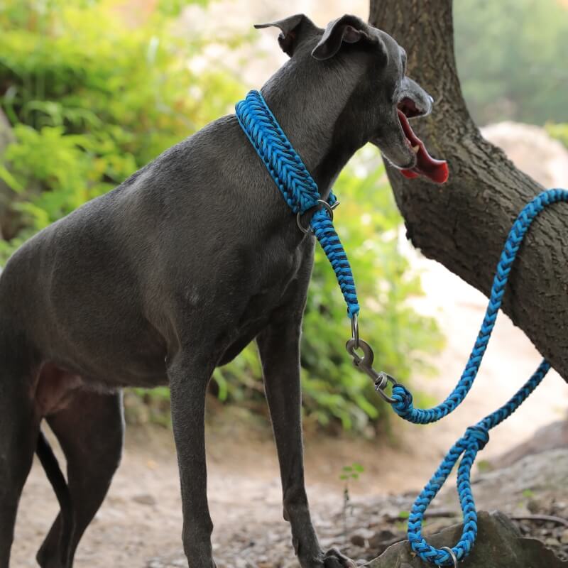 Handgefertigtes, leuchtendes Anti-Pull-Hundehalsband und Leine für große Hunde