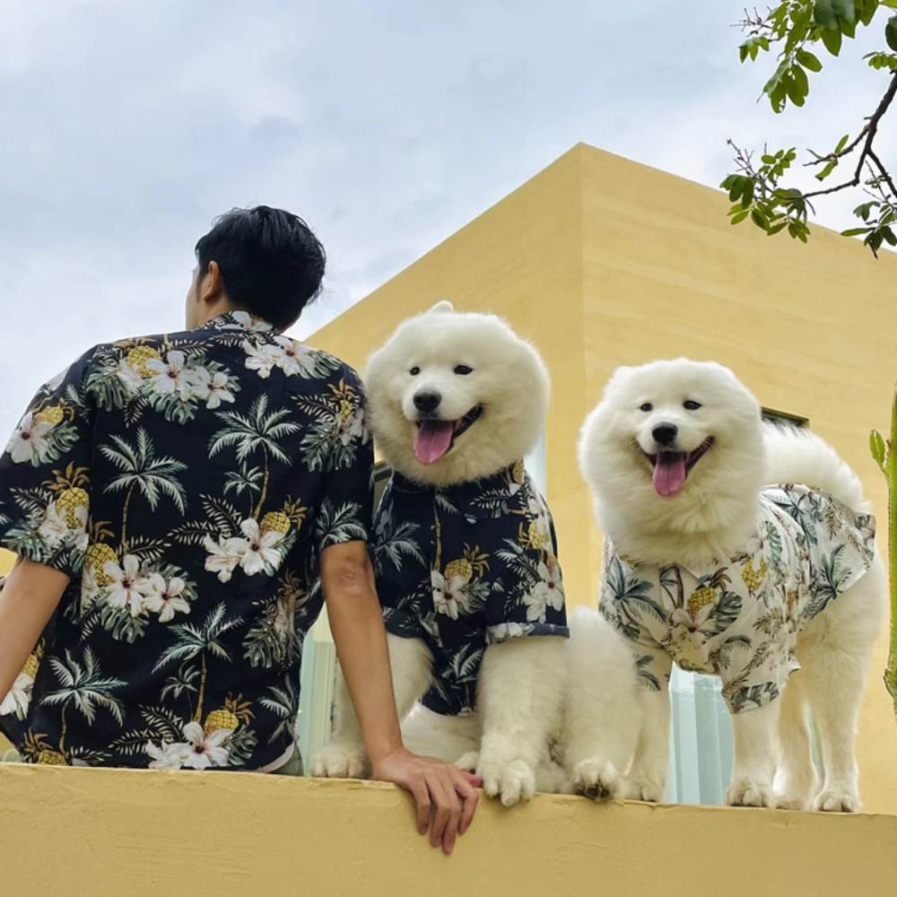 Camicia hawaiana abbinata per vestiti di cani e proprietari