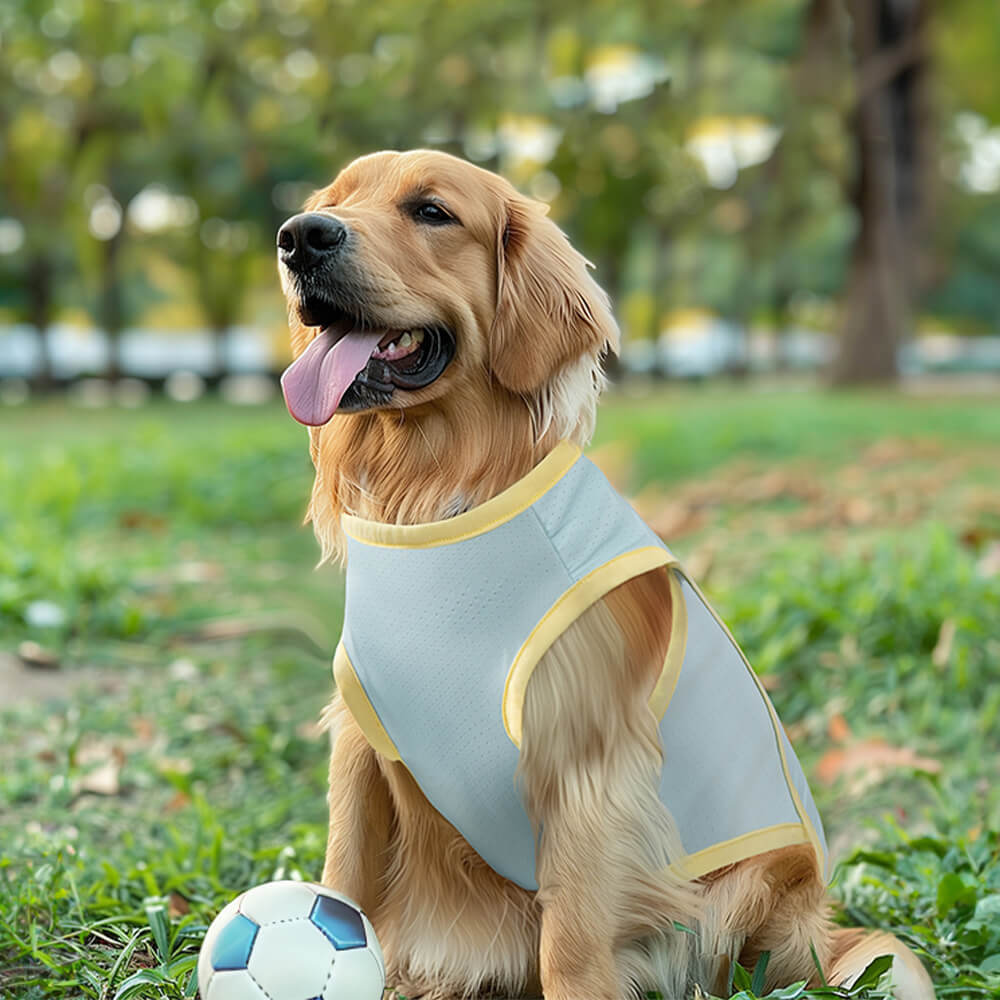 Gilet per cani con protezione contro le scottature solari, vestiti per cani rinfrescanti in seta di ghiaccio