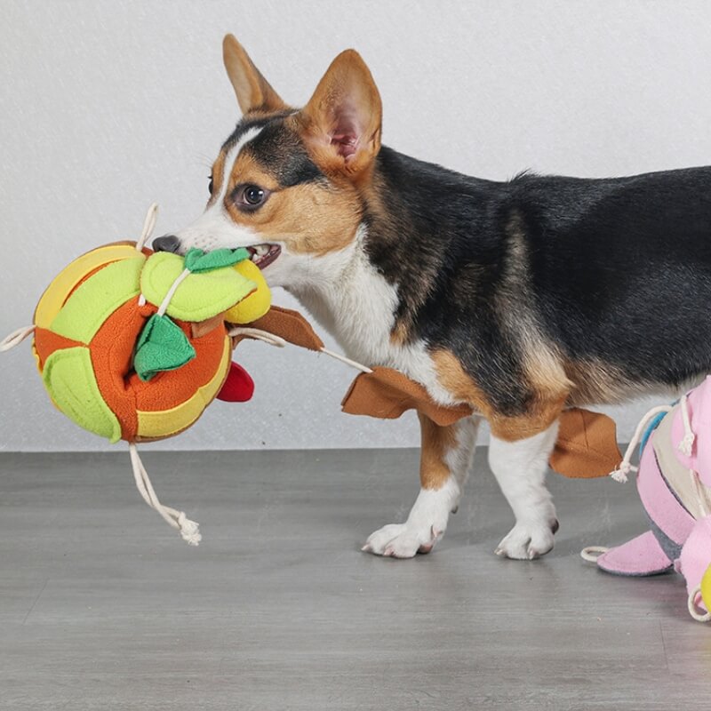 Gioco interattivo a forma di palla a foglia per cani con distribuitore di leccornie e suono sibilante.