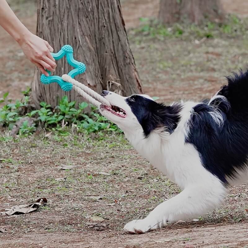 Gioco interattivo di tiro alla fune per cani, giocattolo in gomma per la pulizia dei denti