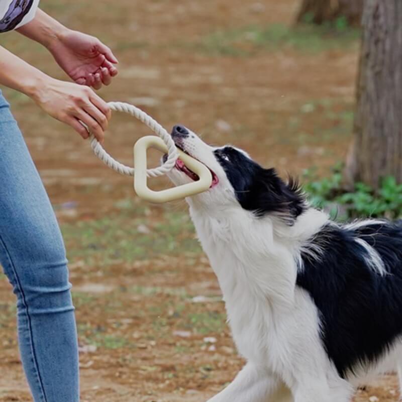 Gioco interattivo di tiro alla fune per cani, giocattolo in gomma per la pulizia dei denti