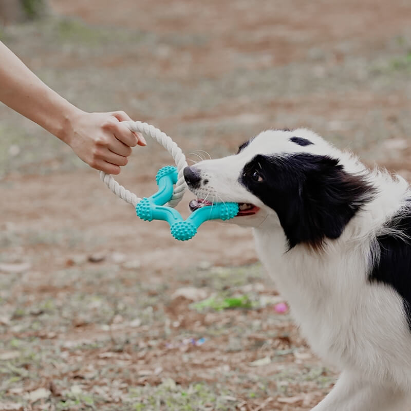 Gioco interattivo di tiro alla fune per cani, giocattolo in gomma per la pulizia dei denti