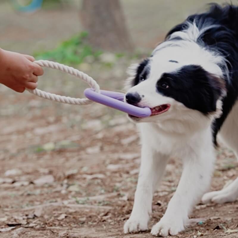 Gioco interattivo di tiro alla fune per cani, giocattolo in gomma per la pulizia dei denti