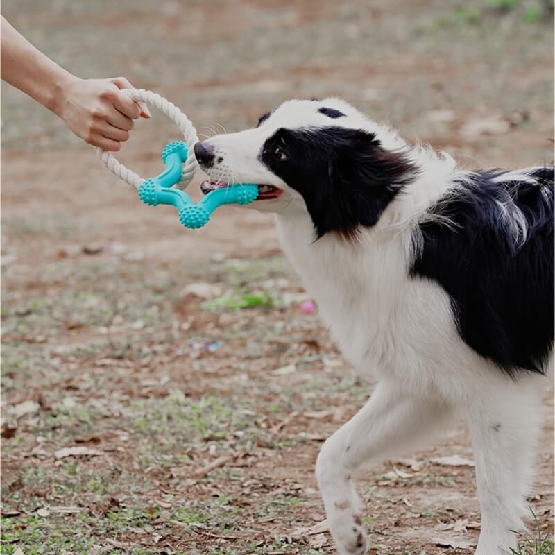Gioco interattivo di tiro alla fune per cani, giocattolo in gomma per la pulizia dei denti