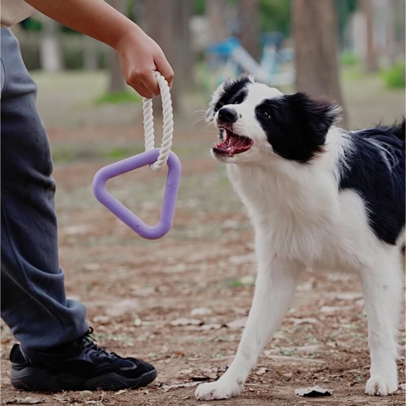 Gioco interattivo di tiro alla fune per cani, giocattolo in gomma per la pulizia dei denti