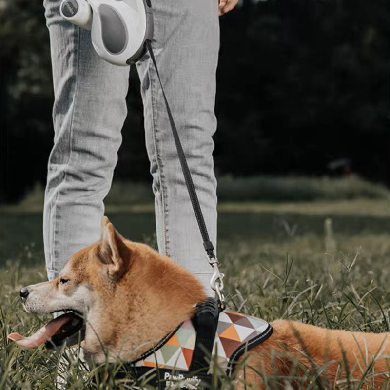 Guinzaglio da addestramento per accessori per cani freddi retrattili lunghi a LED