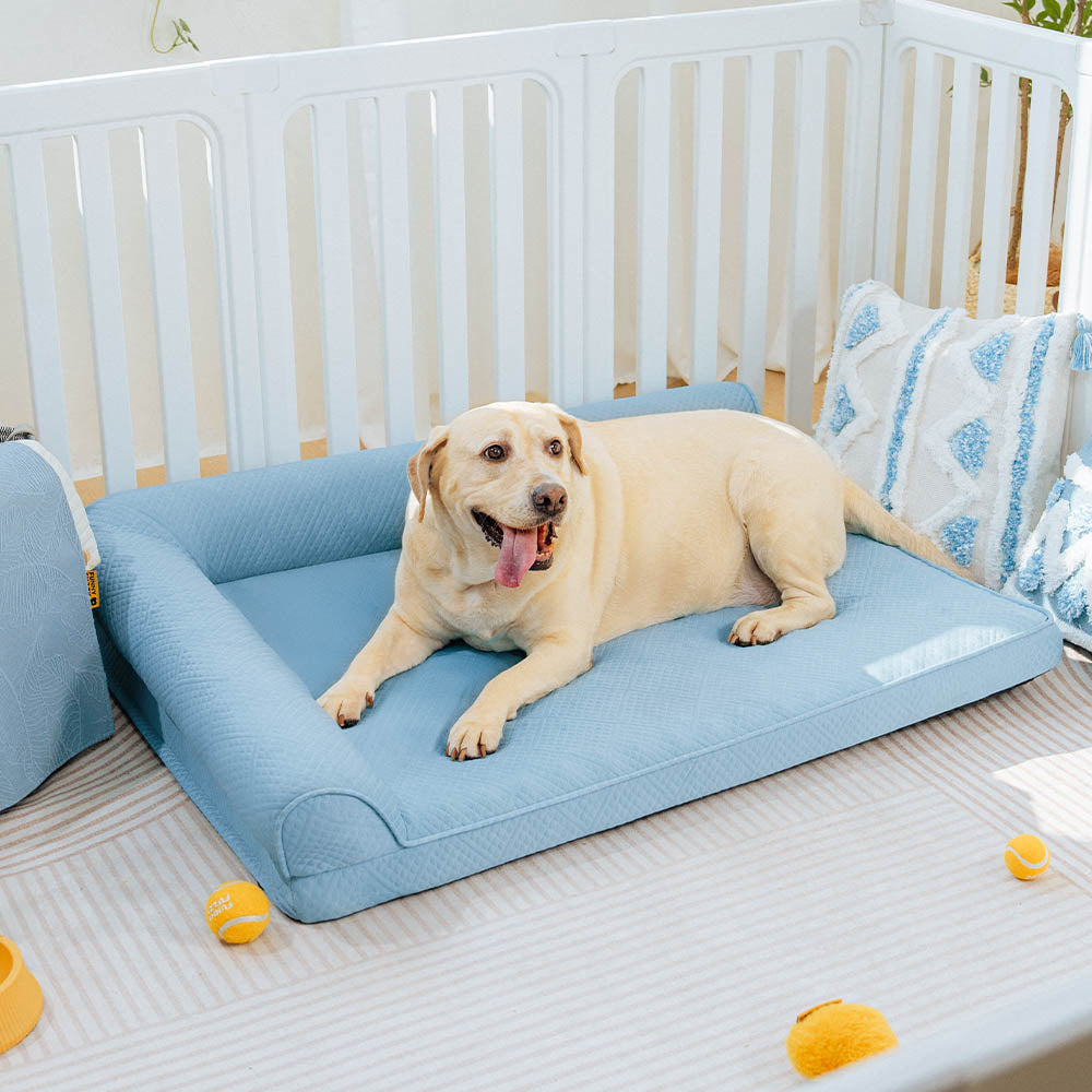 Letto ortopedico per cani grande, traspirante, non scivoloso