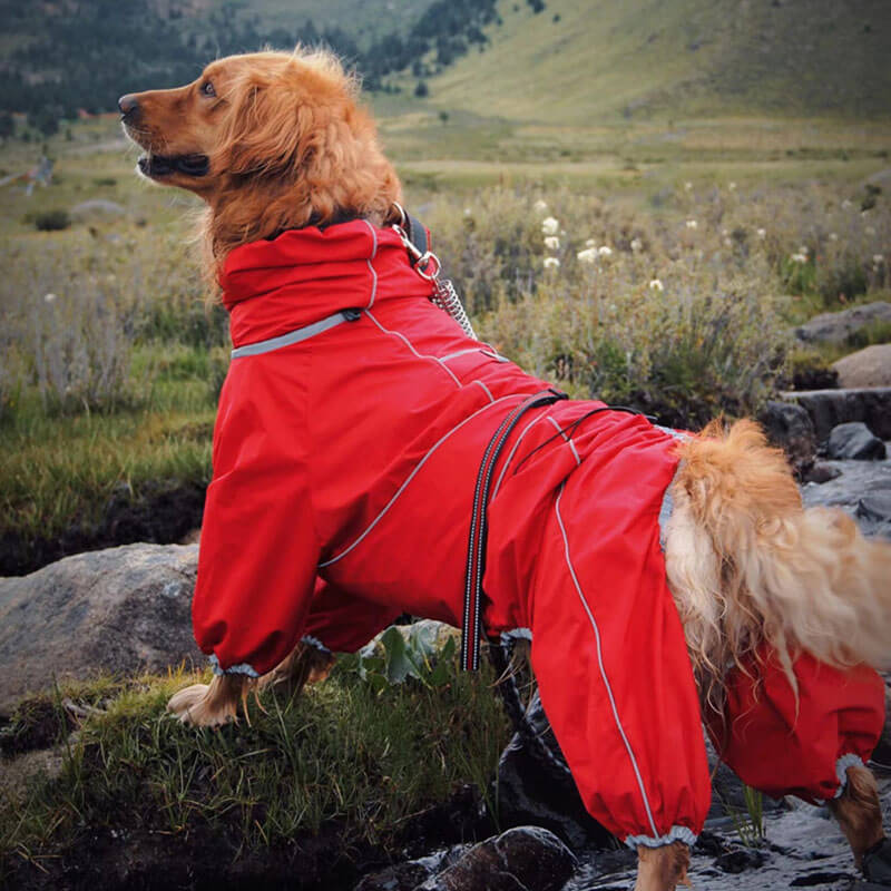 Giacca per cani grandi da esterno impermeabile, regolabile, mantella per la pioggia per cani.