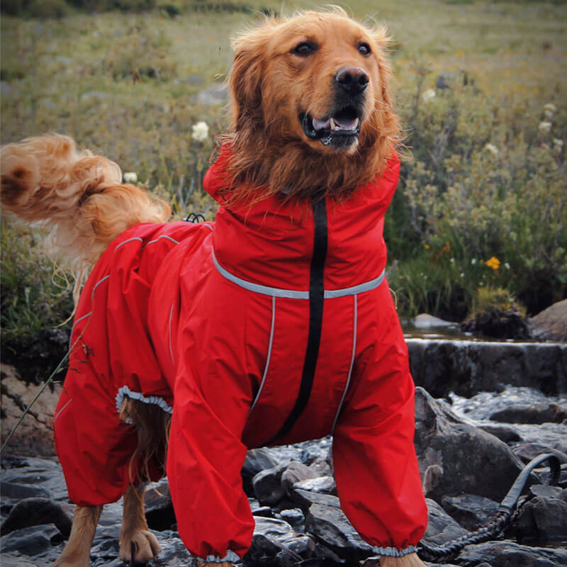 Giacca per cani grandi da esterno impermeabile, regolabile, mantella per la pioggia per cani.